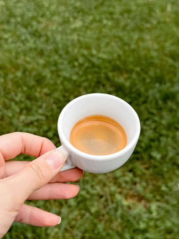 Honduras Matazano